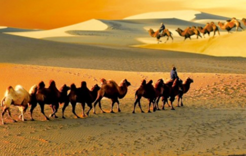 世界文化遺產(chǎn)申報與管理：向世界闡釋、傳播、展示亞洲文明之美