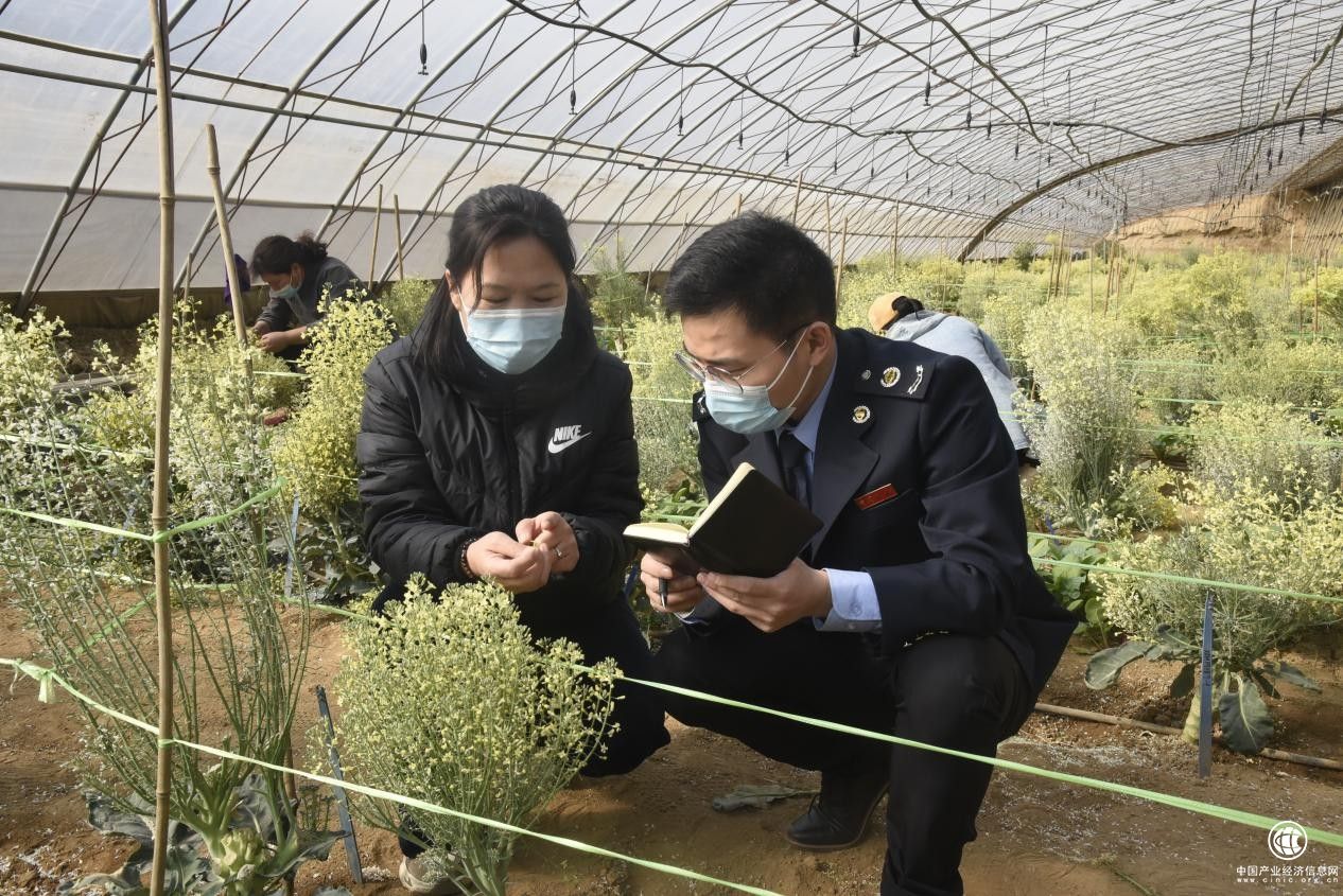 邢臺任澤區(qū)稅務局精細服務助力京津冀協(xié)同發(fā)展
