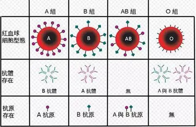 科普   O型血真的是“萬能充”嗎？