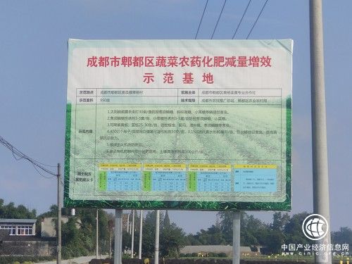 青楊韭黃：發(fā)展生態(tài)品牌農(nóng)業(yè)，激發(fā)鄉(xiāng)村振興內(nèi)在動力