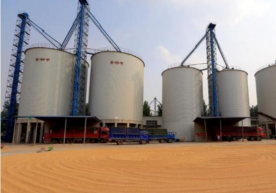 河南糧食倉容量達(dá)9510萬噸 居全國第一