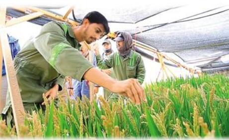 8年來(lái)，中國(guó)投資一帶一路農(nóng)業(yè)項(xiàng)目820多個(gè)