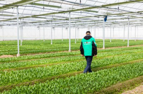 20211126144734286.png image.png