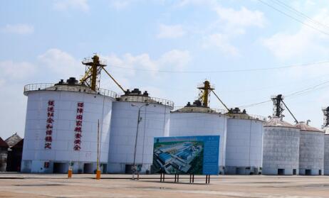 “十四五”時(shí)期我國將新增高標(biāo)準(zhǔn)糧倉倉容2000萬噸