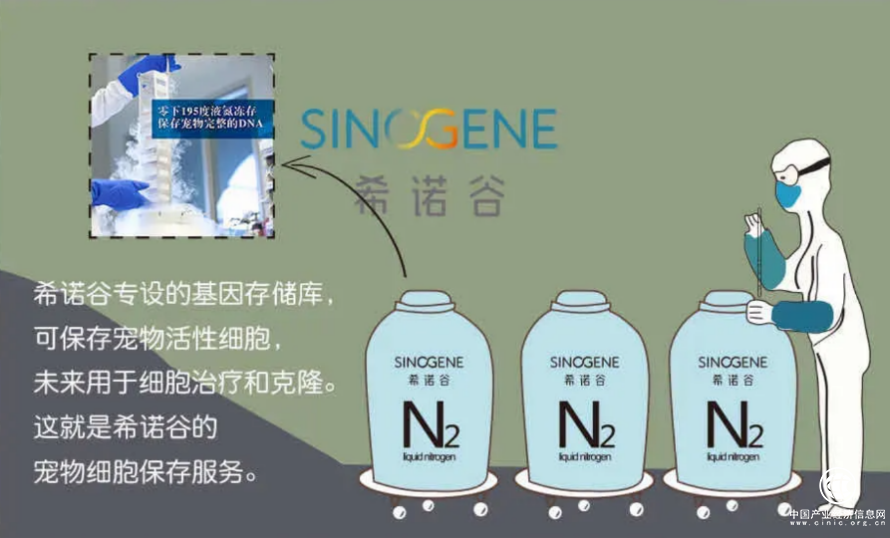 希諾谷：放棄的一個生命原因，答案好笑到殘忍