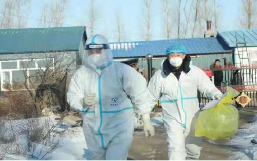 富?？h稅務(wù)局黨員志愿者助力村民做核酸