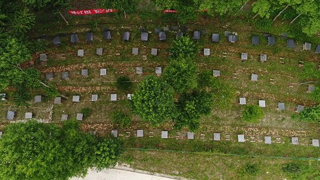 圖片3.png 圖片3.png