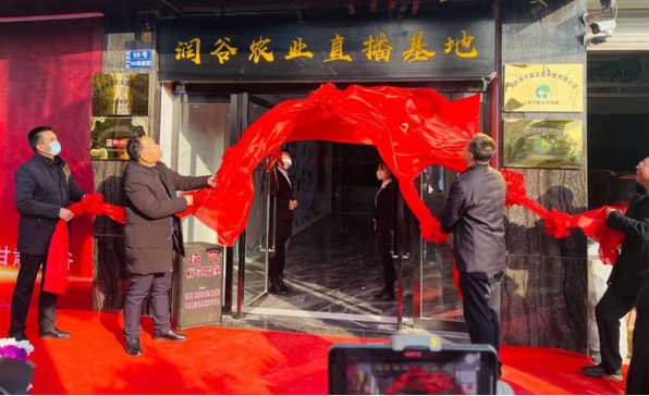 甘谷縣舉行天水潤谷農(nóng)業(yè)直播基地揭牌儀式