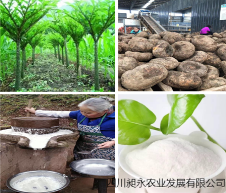 20211223103049147.png 圖片.png