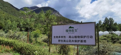  打造“品牌+公益”模式 植物醫(yī)生用行動助力生物多樣性保護