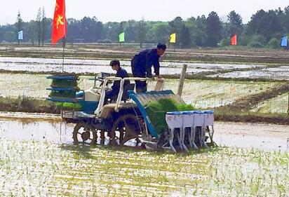 農(nóng)業(yè)農(nóng)村部：到2025年水稻種植機械化率達到65%