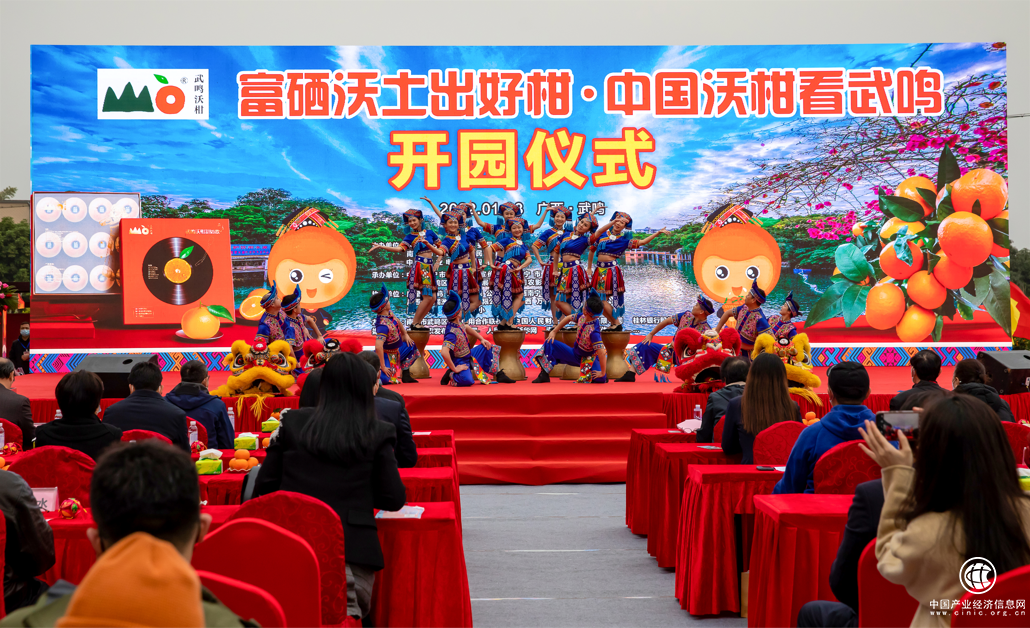  富硒沃土出好柑，中國(guó)沃柑看武鳴——2022年武鳴沃柑開(kāi)園系列活動(dòng)在武鳴區(qū)成功舉辦