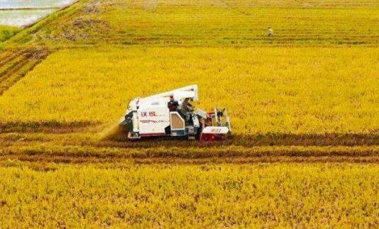 江西省農(nóng)業(yè)去年交出亮眼成績(jī)單 糧食總產(chǎn)438.5億斤