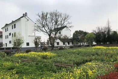 耕讀教育實(shí)踐基地落戶長三角“田園五鎮(zhèn)”