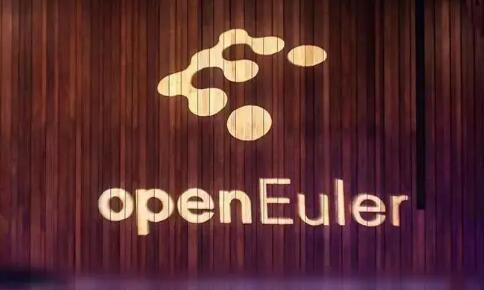 歐拉商用出貨超60萬套 今年有望成服務(wù)器OS新增第一