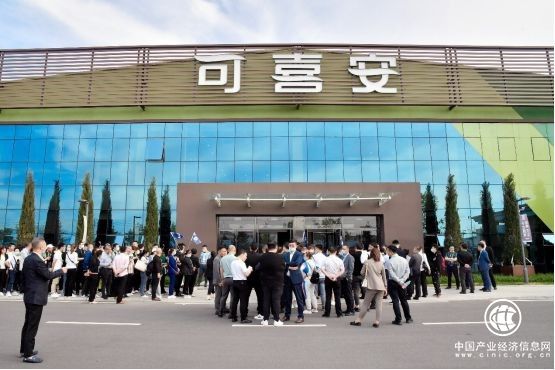 電話拜年成主流，可喜安提醒大家春節(jié)期間減少人員流動