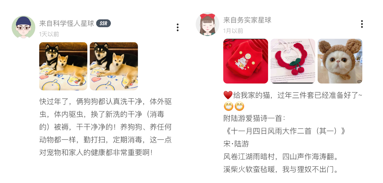 貓貓狗狗如何過大年？報告：超半數(shù)90后“鏟屎官”愿帶寵物一起回老家過年