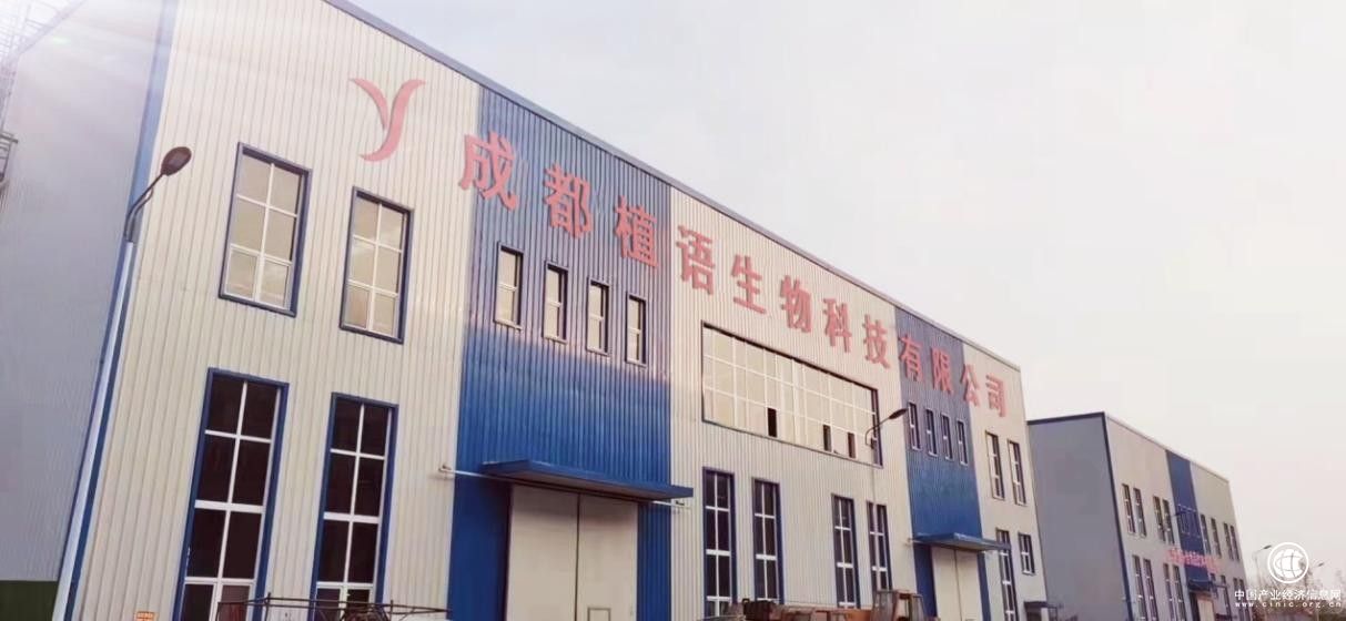  汪陽洋：大學(xué)生返鄉(xiāng)創(chuàng)業(yè)到集團(tuán)公司的成立