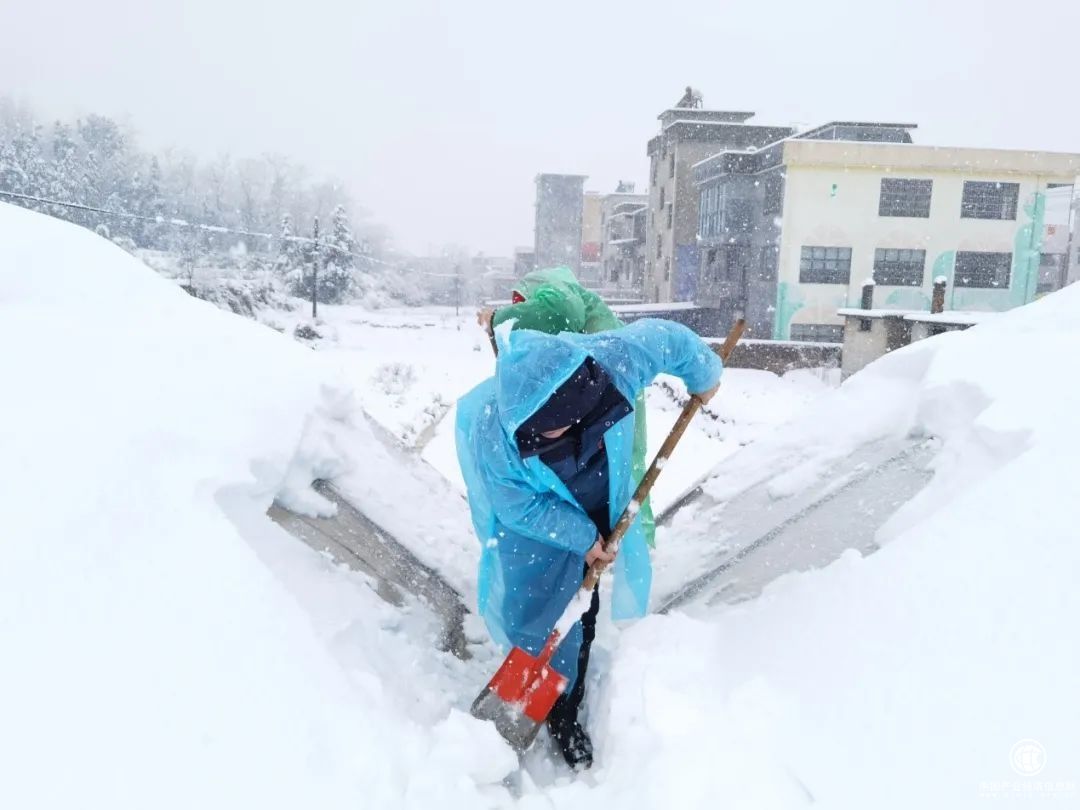  湖南邵陽隆回?zé)煵荩嚎贡┭┳o(hù)煙苗 黨員突擊隊(duì)在行動