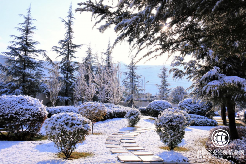 宣威復(fù)烤廠：執(zhí)“綠”為筆，繪就生態(tài)畫卷