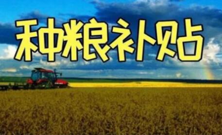 200億元！一次性補(bǔ)貼給實(shí)際種糧農(nóng)民！