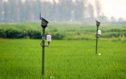 全國農(nóng)業(yè)氣象服務專家組成立 為保障糧食安全貢獻智庫力量