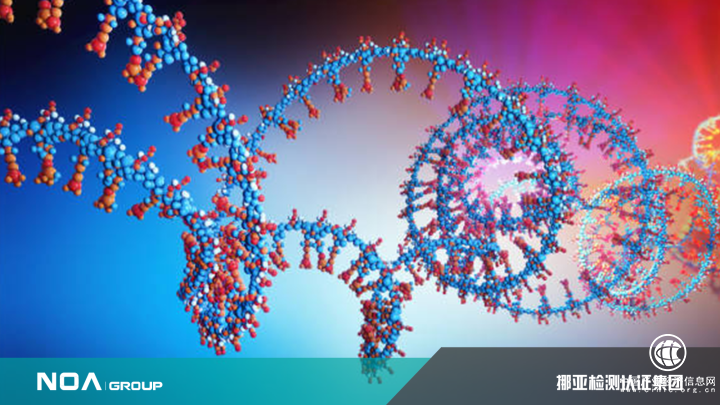 2022第三方檢測(cè)最新政策公布