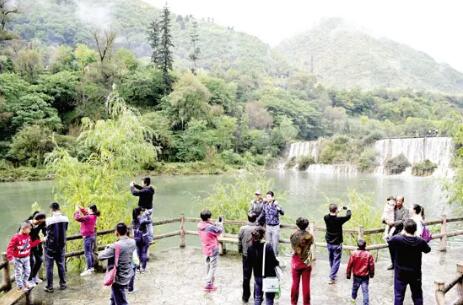 清明假期：本地游一枝獨(dú)秀 出游需求更細(xì)分