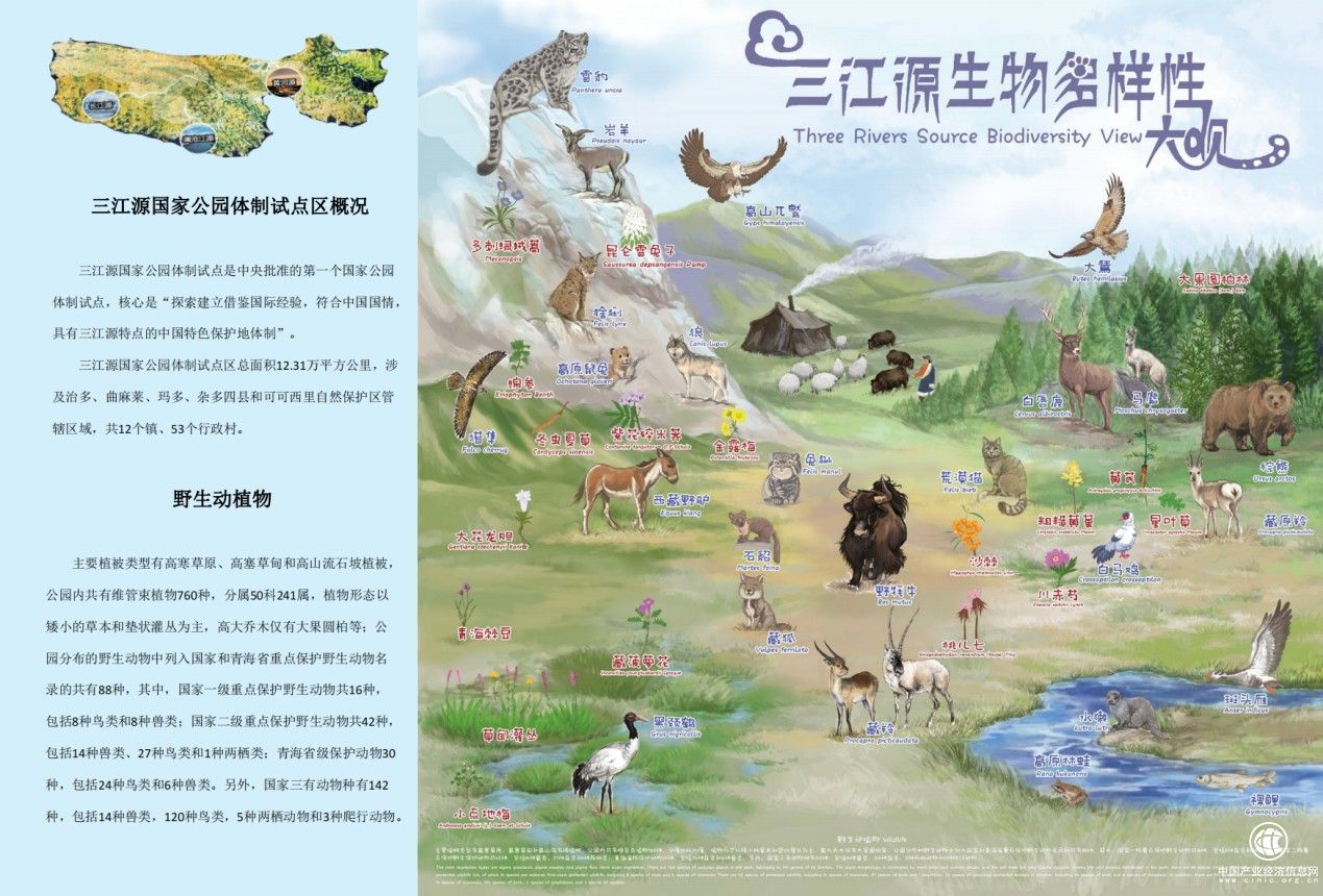  成實(shí)外繁懋教育多校公益聯(lián)動(dòng)，為可可西里建一所藏羚羊“幼兒園”