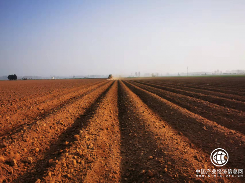 河南郟縣：慧農(nóng)機，精農(nóng)藝，萬千田疇染新綠