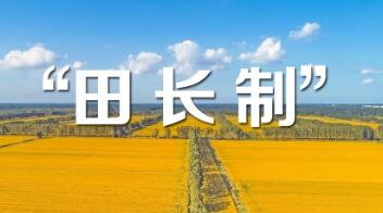 廣西：五級田長制保障糧食生產(chǎn)