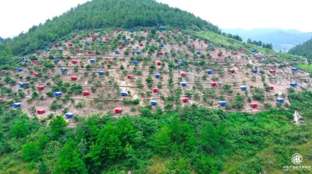  “山貨上頭條”打造區(qū)域農(nóng)產(chǎn)品品牌，長順綠殼雞蛋“出圈”熱銷全國