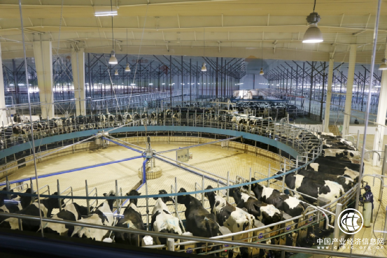  從領(lǐng)先到顛覆，君樂寶奶粉“三連發(fā)”背后的大布局