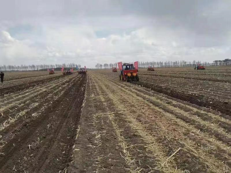 黑龍江省富?？h推進黑土地保護性耕作免耕播種