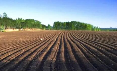 內(nèi)蒙古完成黑土地保護(hù)性耕作1440.4萬畝  超額完成國家任務(wù)