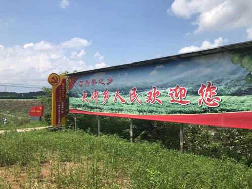 江西吉安大沖鄉(xiāng)打造“百香果”特色產(chǎn)業(yè) 帶動種植戶增收致富