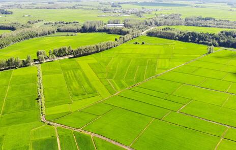 農業(yè)農村經濟持續(xù)向好 助力穩(wěn)物價保民生