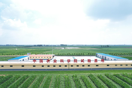 山東濟寧高新區(qū)：農(nóng)業(yè)產(chǎn)業(yè)蓬勃發(fā)展 繪就鄉(xiāng)村振興新圖景