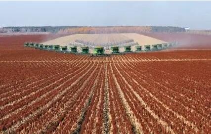 今年秋糧播種面積有所增加 穩(wěn)定全年糧食生產(chǎn)有較好基礎(chǔ)