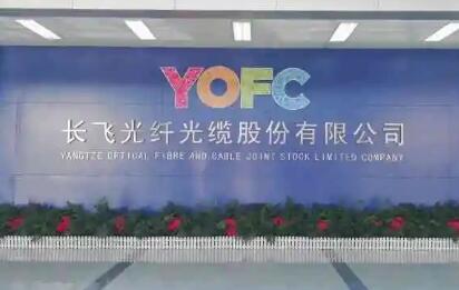 長飛：乘“數(shù)字”之勢，以光點(diǎn)亮數(shù)字化美好生活新未來