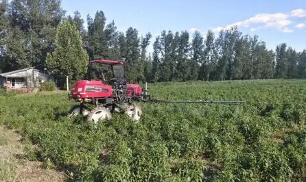 實(shí)現(xiàn)數(shù)字化自主管理 北京首個(gè)生產(chǎn)型蔬菜無人農(nóng)場(chǎng)落地昌平