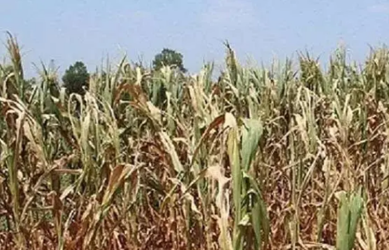 今年以來我國洪旱災(zāi)害呈現(xiàn)四方面特點