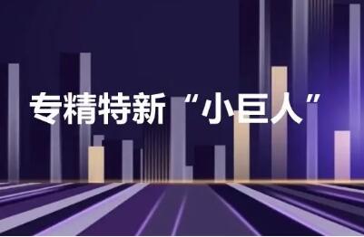 我國(guó)培育專精特新“小巨人”企業(yè)約9000家