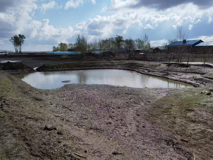 黑龍江省富?？h：“廢棄坑塘”變身“稻香滿塘”促增收