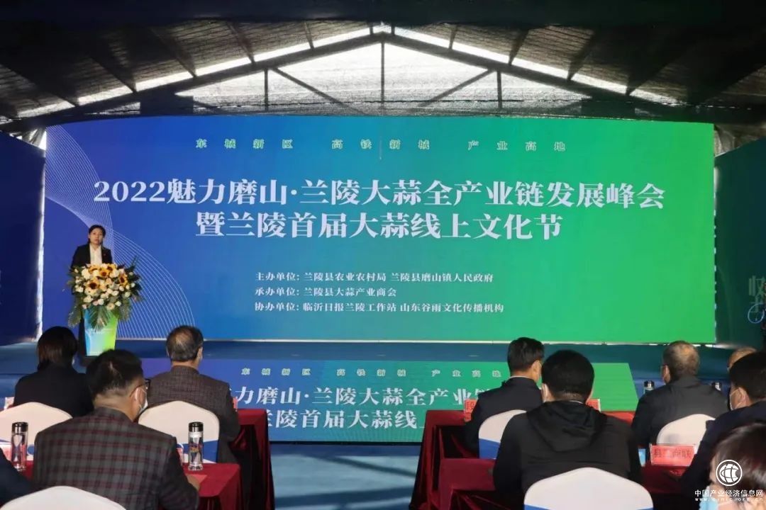 蘭陵大蒜文化節(jié)展磨山魅力，聚焦蒼山大蒜產(chǎn)業(yè)發(fā)展成果