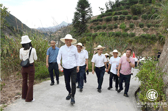 振興茶產(chǎn)業(yè) 媒體來(lái)助力 | 廈門(mén)市安溪商會(huì)組織媒體記者走進(jìn)安溪茶鄉(xiāng)