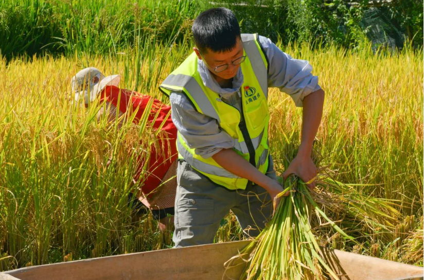 云南建投集團(tuán)用心用情幫扶 繪就鄉(xiāng)村振興美麗畫(huà)卷