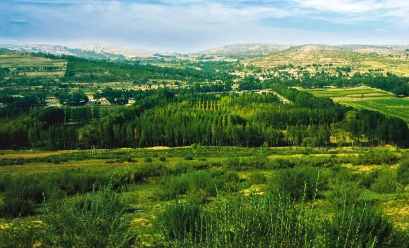 三北工程啟動20個(gè)科學(xué)綠化試點(diǎn)縣建設(shè)