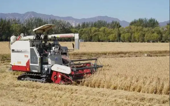 京西稻智慧農場畝產增收約三成，收割機實現(xiàn)“無人駕駛”