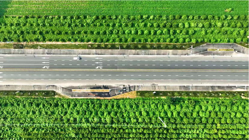 20221117112045386.png 20221117112045386.png